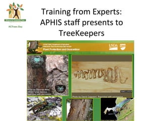 Training	
  from	
  Experts:	
  
APHIS	
  staﬀ	
  presents	
  to	
  
     TreeKeepers	
  	
  
 