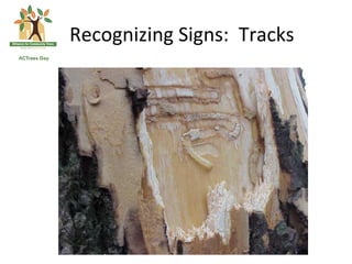 Recognizing	
  Signs:	
  	
  Tracks	
  
 