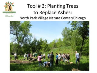 Tool	
  #	
  3:	
  Plan*ng	
  Trees	
  
        to	
  Replace	
  Ashes:	
  
North	
  Park	
  Village	
  Nature	
  Center/Chicago	
  
 