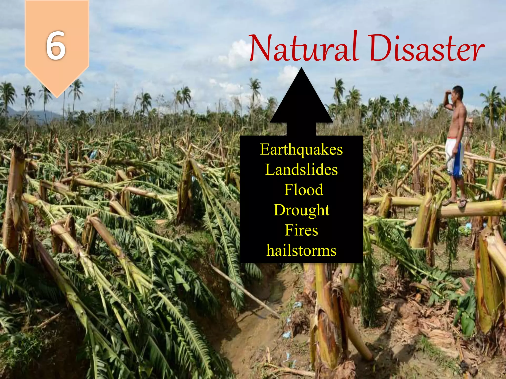 Threats to agrobiodiversity (Agricultural Biodiversity) | PPTX