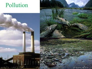 Pollution
 