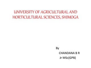 UNIVERSITY OF AGRICULTURAL AND
HORTICULTURAL SCIENCES, SHIMOGA
By
CHANDANA B R
Jr MSc(GPB)
 