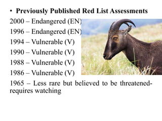 • Previously Published Red List Assessments
2000 – Endangered (EN)
1996 – Endangered (EN)
1994 – Vulnerable (V)
1990 – Vulnerable (V)
1988 – Vulnerable (V)
1986 – Vulnerable (V)
1965 – Less rare but believed to be threatened-
requires watching
 