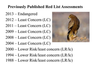 Previously Published Red List Assessments
2013 – Endangered
2012 – Least Concern (LC)
2011 – Least Concern (LC)
2009 – Least Concern (LC)
2008 – Least Concern (LC)
2004 – Least Concern (LC)
2000 – Lower Risk/least concern (LR/lc)
1994 – Lower Risk/least concern (LR/lc)
1988 – Lower Risk/least concern (LR/lc)
 