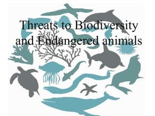 Threats to Biodiversity
and Endangered animals
 