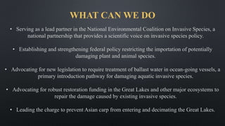 WHAT CAN WE DO
• Serving as a lead partner in the National Environmental Coalition on Invasive Species, a
national partnership that provides a scientific voice on invasive species policy.
• Establishing and strengthening federal policy restricting the importation of potentially
damaging plant and animal species.
• Advocating for new legislation to require treatment of ballast water in ocean-going vessels, a
primary introduction pathway for damaging aquatic invasive species.
• Advocating for robust restoration funding in the Great Lakes and other major ecosystems to
repair the damage caused by existing invasive species.
• Leading the charge to prevent Asian carp from entering and decimating the Great Lakes.
 