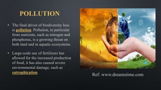 POLLUTION
• The final driver of biodiversity loss
is pollution. Pollution, in particular
from nutrients, such as nitrogen and
phosphorus, is a growing threat on
both land and in aquatic ecosystems.
• Large-scale use of fertilizers has
allowed for the increased production
of food, it has also caused severe
environmental damage, such as
eutrophication.
Ref: www.dreamstime.com
 