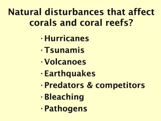 Natural disturbances that affect corals and coral reefs? <ul><li>Hurricanes </li></ul><ul><li>Tsunamis </li></ul><ul><li>V...