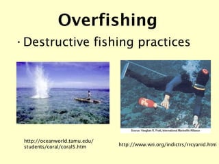 http://oceanworld.tamu.edu/students/coral/coral5.htm http://www.wri.org/indictrs/rrcyanid.htm Overfishing <ul><li>Destruct...