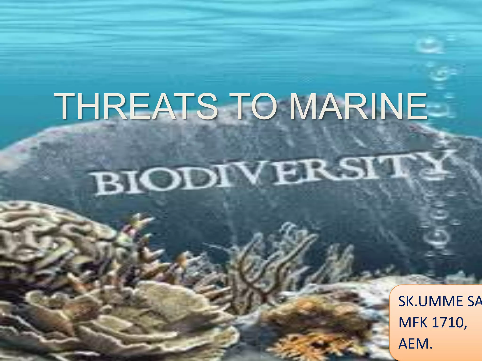 Threats to marine biodiversity | PPTX