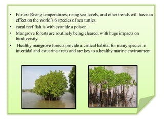 Threats to marine biodiversity   