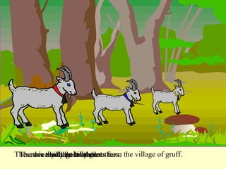 These are the three billy goats from the village of gruff.   The three billy goats are brothers. There is a youngest brother. There is a middle brother. There is an oldest brother. 