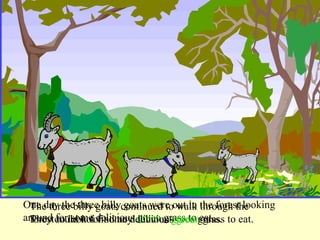 One day the three billy goats were out in the forest looking around for some delicious  green  grass to eat. They could not find any delicious  green  grass to eat. The three billy goats continued to walk through the forest to look for some delicious  green  grass. 