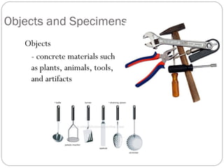 Objects and Specimens
Objects
- concrete materials such
as plants, animals, tools,
and artifacts
 
