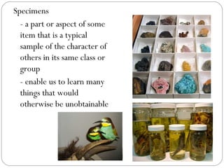 Specimens
- a part or aspect of some
item that is a typical
sample of the character of
others in its same class or
group
- enable us to learn many
things that would
otherwise be unobtainable
 