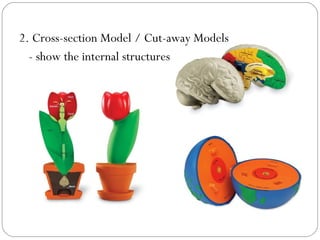 2. Cross-section Model / Cut-away Models
- show the internal structures
 