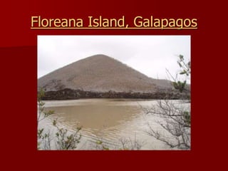 Floreana Island, Galapagos
 