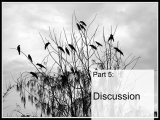 Part 5: Discussion 