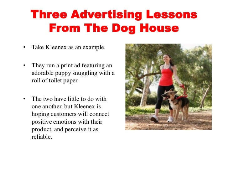 three advertising lessons from the dog house dog walking advertising