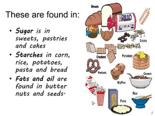 Three basic food groups | PPT