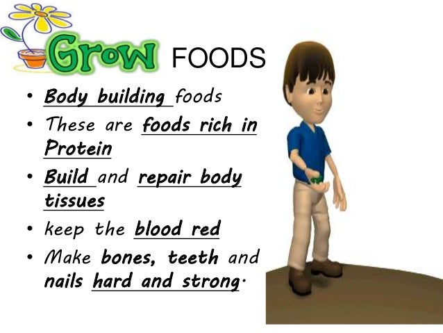 Three Basic Food Groups Three Basic Food Groups