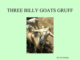 THREE BILLY GOATS GRUFF By Tere Orobitg 