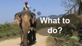 06.1
1.20
20
What to
do?
 