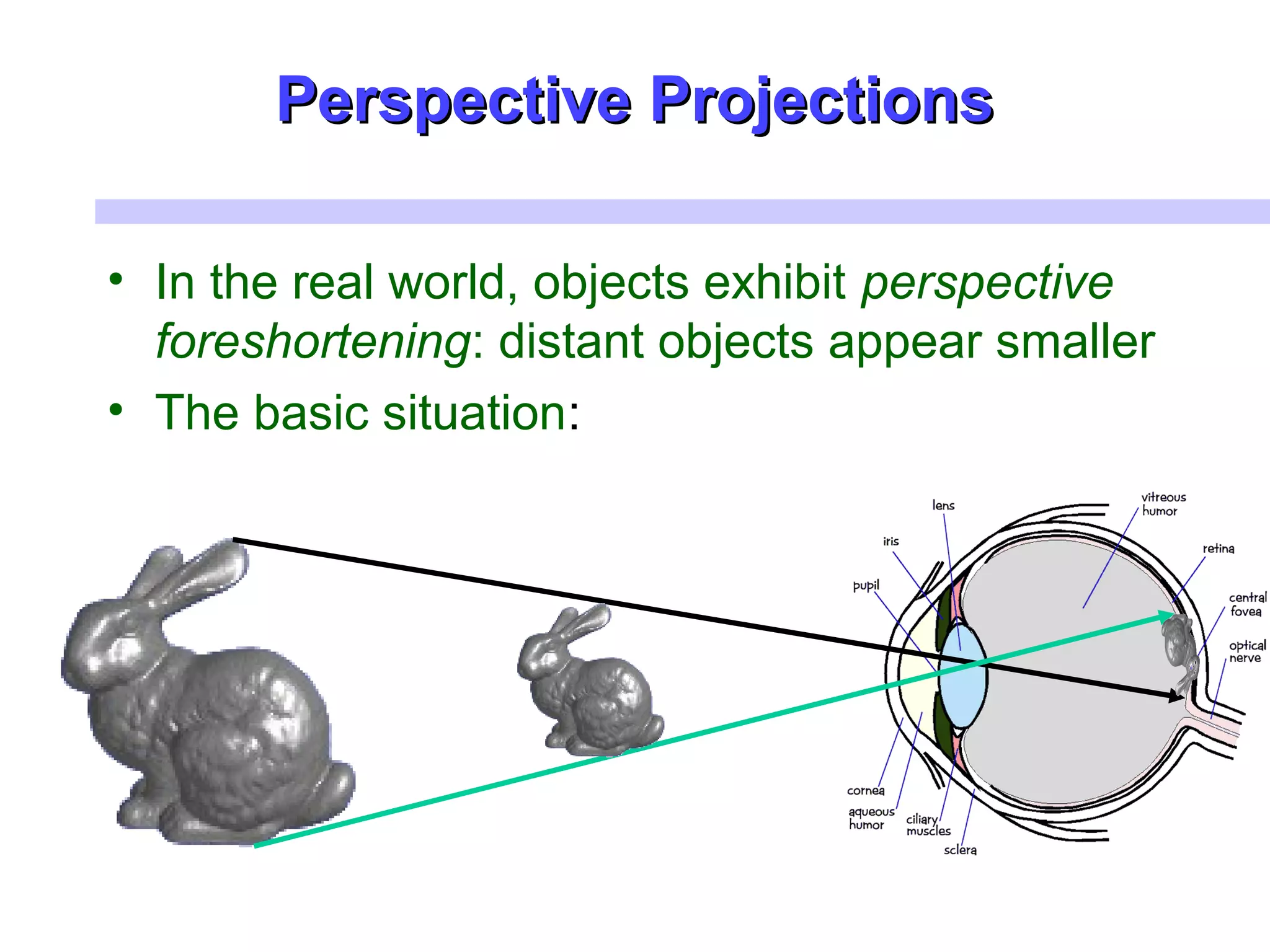 Perspective ProjectionsPerspective Projections
• In the real world, objects exhibit perspective
foreshortening: distant objects appear smaller
• The basic situation:
 