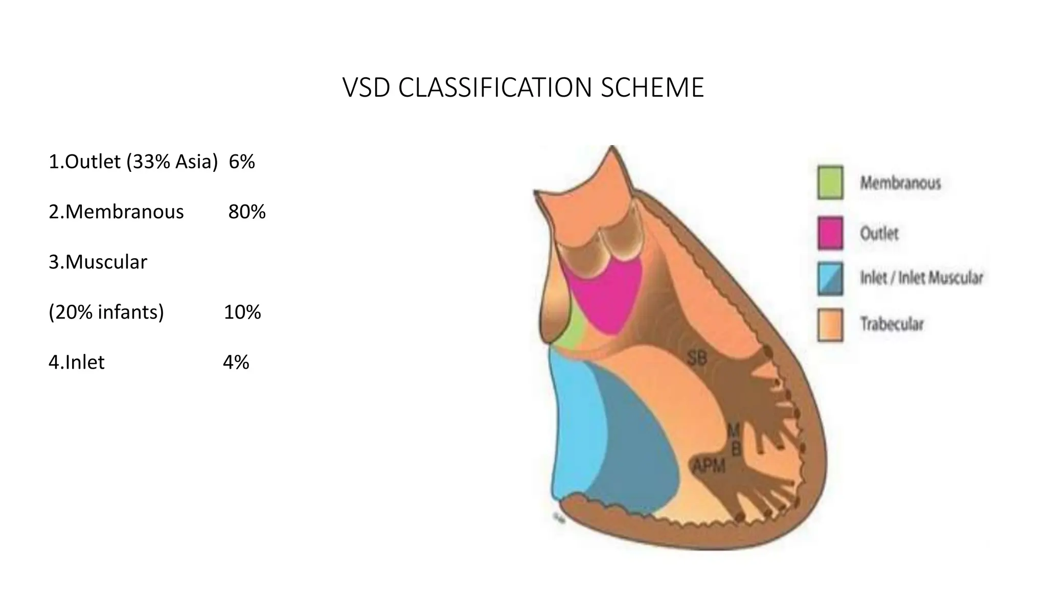 THREE DIMENSIONAL ECHOCARDIOGRAPHY IN CONGENITAL HEART DISEASES.pptx