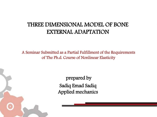 Three dimensional model of bone external adaptation | PPTX