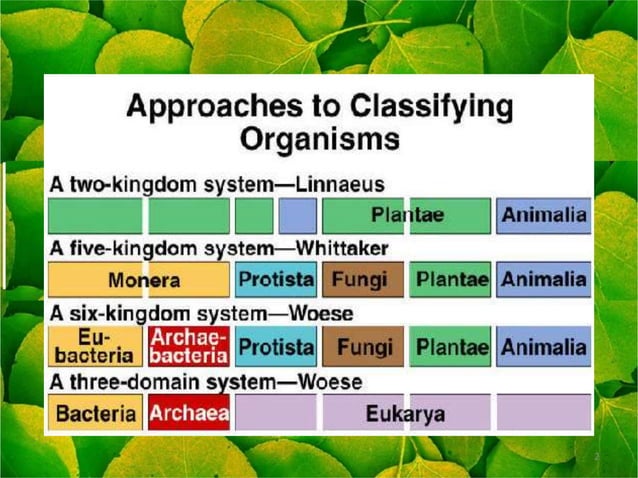 Three domain of classification | PPT