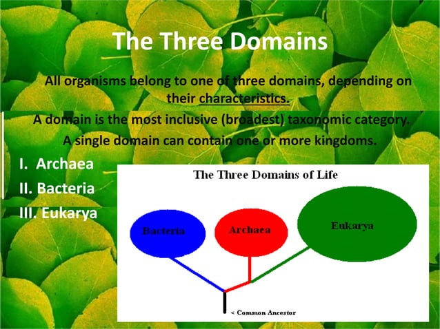 Three domain of classification | PPTX