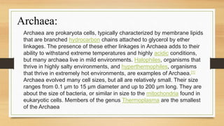 THREE DOMAINS OF LIFE-[BP211525].pptx