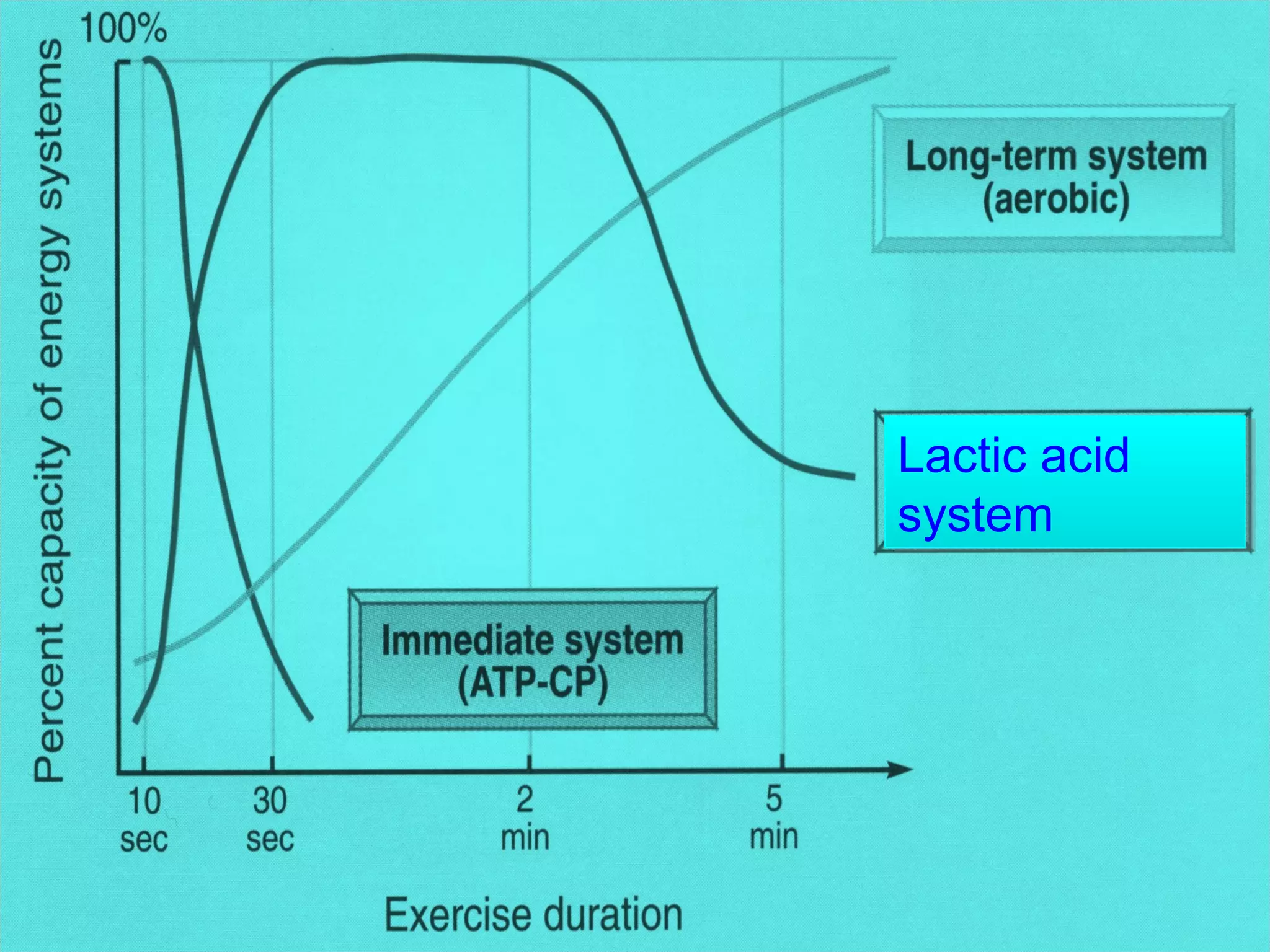 Lactic acid
system
Lactic acid
system
 