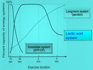 Lactic acid
system
Lactic acid
system
 