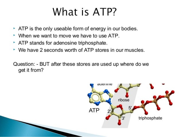 Three energy systems