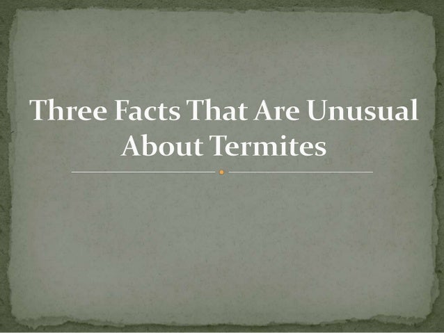 three facts termites unusual slideshare