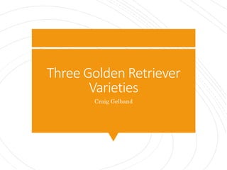 Three Golden Retriever
Varieties
Craig Gelband
 