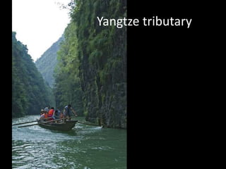 Yangtze tributary