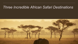 Three Incredible African Safari Destinations
 
