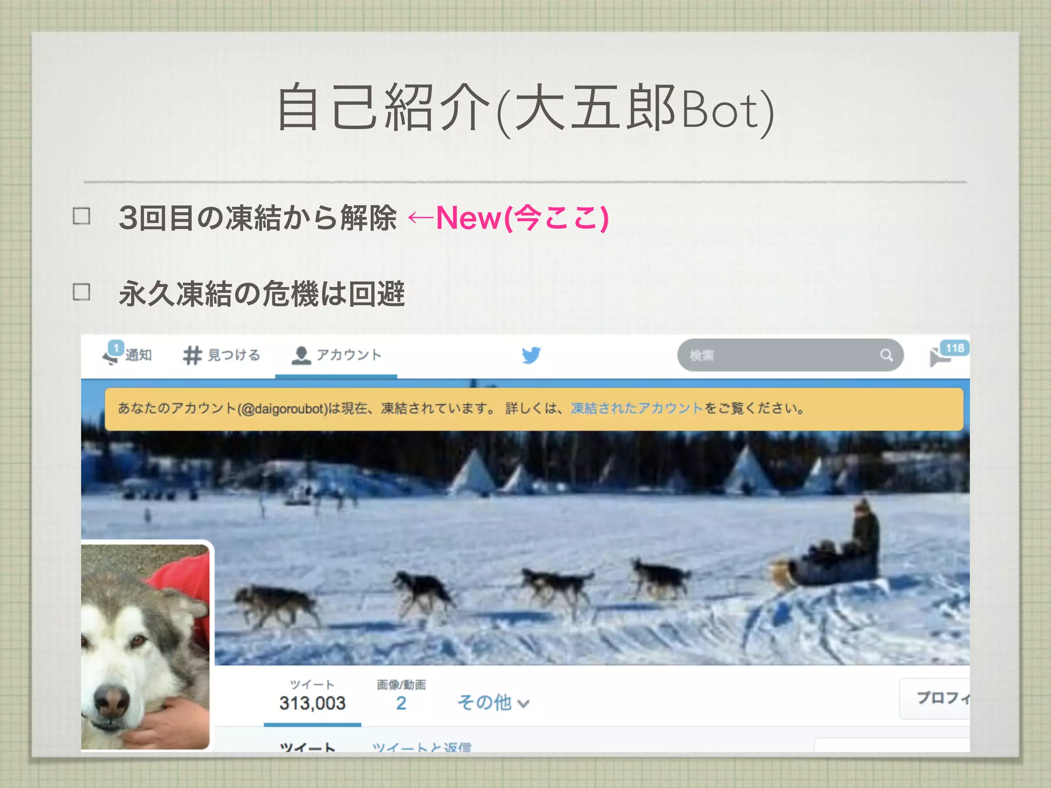 自己紹介(大五郎Bot)
3回目の凍結から解除 ←New(今ここ)
永久凍結の危機は回避
 