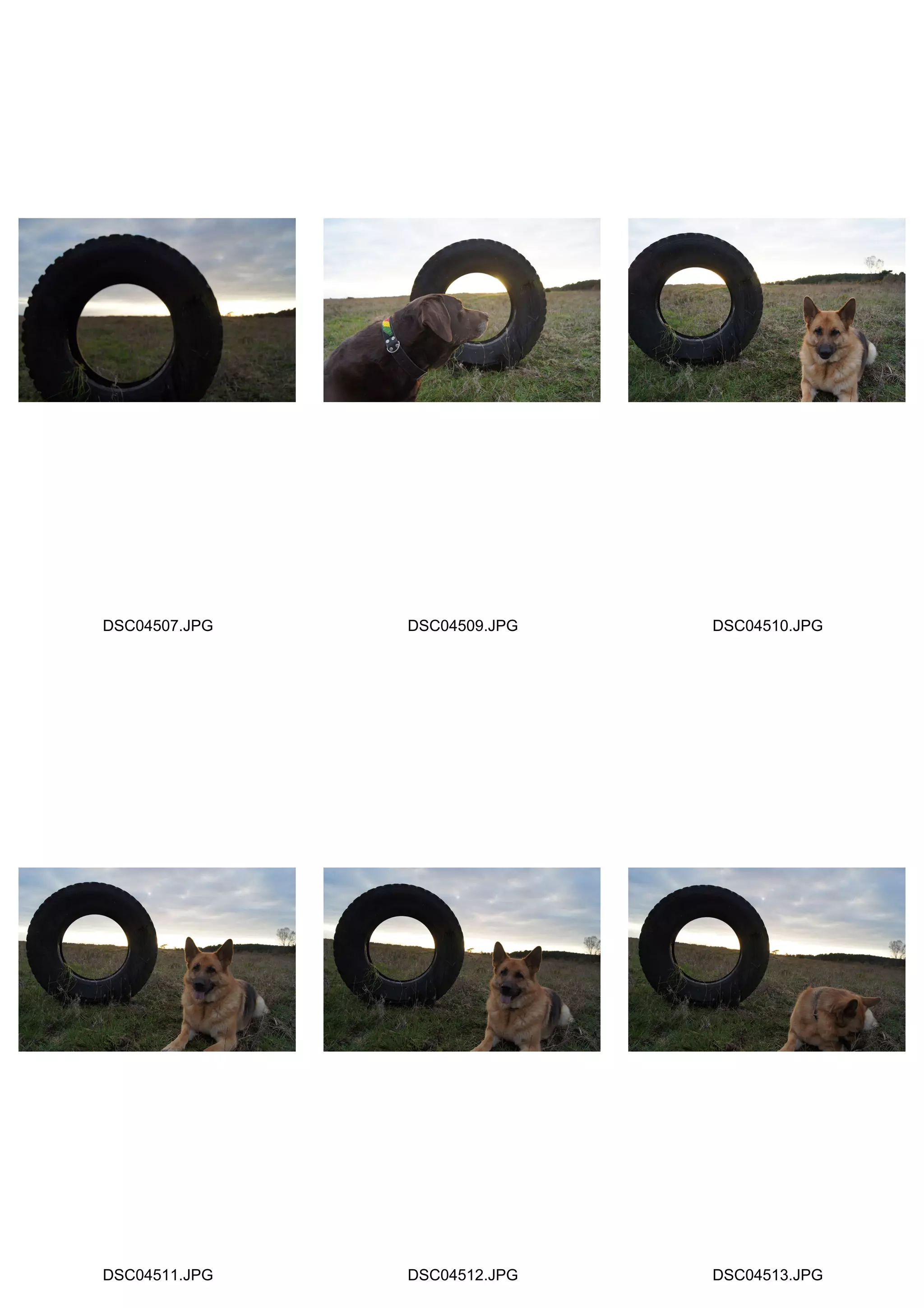 DSC04507.JPG   DSC04509.JPG   DSC04510.JPG




DSC04511.JPG   DSC04512.JPG   DSC04513.JPG
 