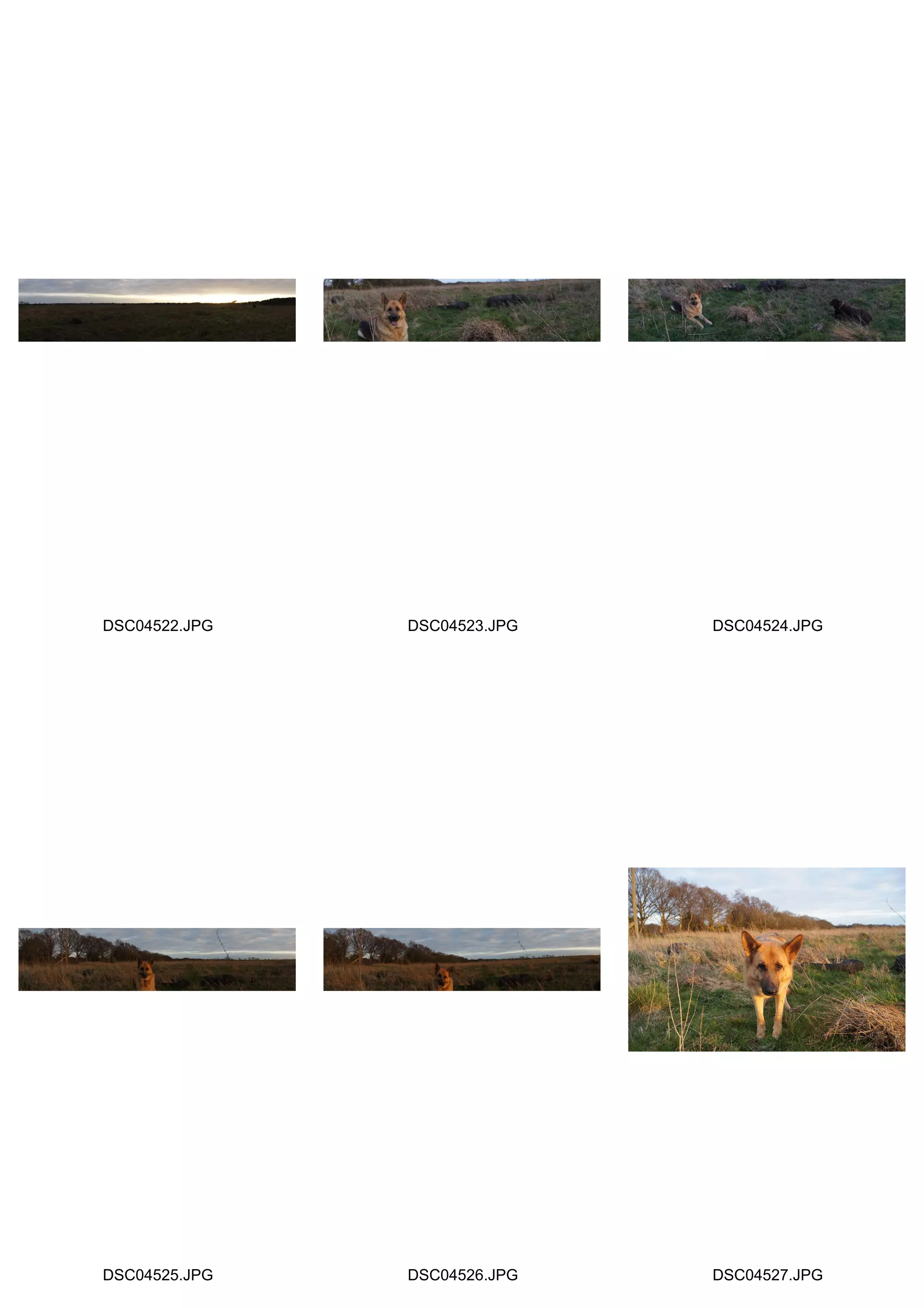 DSC04522.JPG   DSC04523.JPG   DSC04524.JPG




DSC04525.JPG   DSC04526.JPG   DSC04527.JPG
 