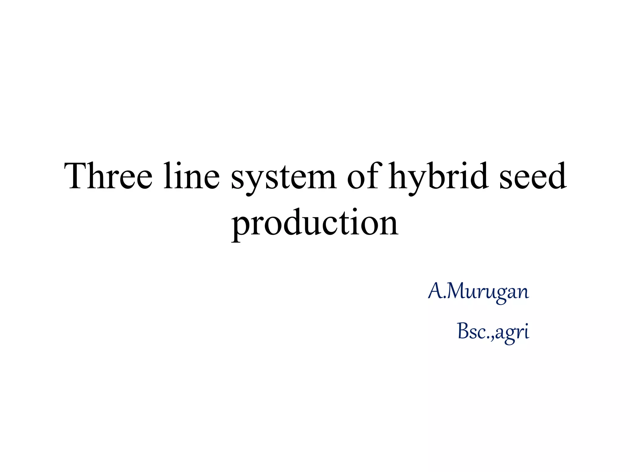 Three line system of hybrid seed
production
A.Murugan
Bsc.,agri
