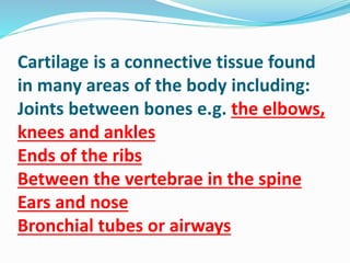 Cartilage is a connective tissue found
in many areas of the body including:
Joints between bones e.g. the elbows,
knees and ankles
Ends of the ribs
Between the vertebrae in the spine
Ears and nose
Bronchial tubes or airways
 