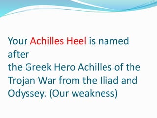 Your Achilles Heel is named
after
the Greek Hero Achilles of the
Trojan War from the Iliad and
Odyssey. (Our weakness)
 