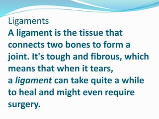 Ligaments
A ligament is the tissue that
connects two bones to form a
joint. It's tough and fibrous, which
means that when it tears,
a ligament can take quite a while
to heal and might even require
surgery.
 