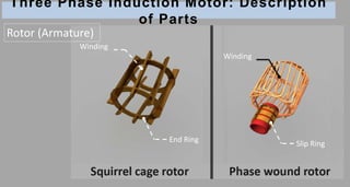 Three Phase Induction Motor: Description
of Parts
Winding
Winding
End Ring
Slip Ring
Rotor (Armature)
 