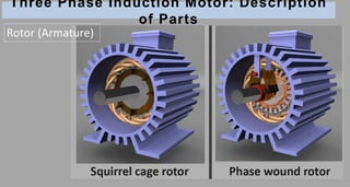 Three Phase Induction Motor: Description
of Parts
Rotor (Armature)
 