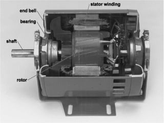Three phase Induction Motor (Construction and working Principle)